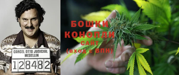 СК Волосово