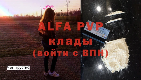 СК Волосово