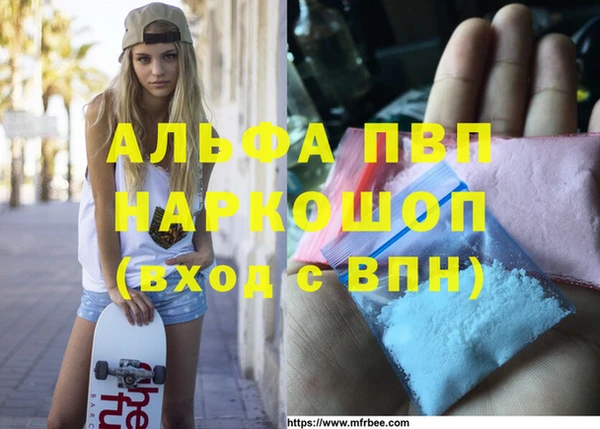 СК Волосово